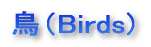 iBirdsj