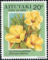 アリアケカズラ(アラマンダ) Allamanda cathartica