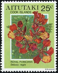 ホウオウボク Delonix regia
