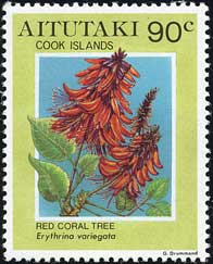 デイコ　Erythrina variegata