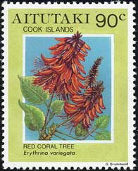 デイコ Erythrina variegata