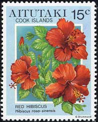 ブッソウゲ Hibiscus rosa-sinensis