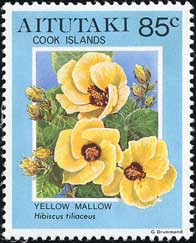 オオハマボウ Hibiscus tiliaceus