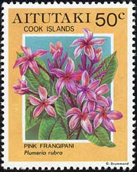 プルメリア Plumeria rubra