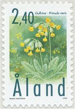 Primula veris