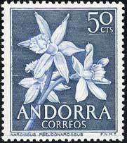 ラッパズイセン Narcissus pseudonarcissus