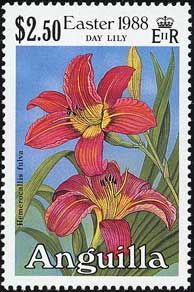 ホンカンゾウ Hemerocallis fulva