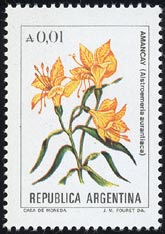 Alstromeria aurantiaca