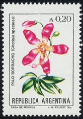 Chorisia speciosa