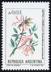 Embothrium coccineum