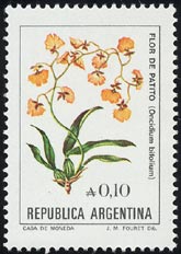 Oncidium bifolium