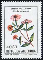 Zinnia peruviana