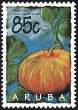 Cucurbita moschata