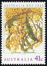 Acacia pycnantha
