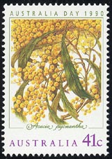 Acacia pycnantha