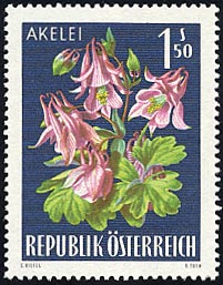 アルプスオダマキ　Aquilegia alpina