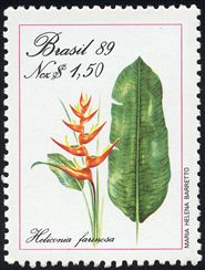 Heliconia farinosa