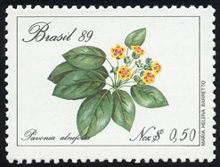 Pavonia alnifolia