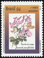 Jacaranda paucifoliolata
