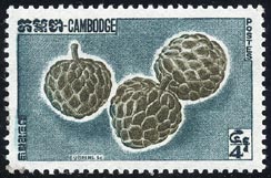 ギュウシンリ　Annona reticulata