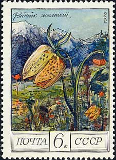 フリティラリア・ルテア Fritillaria lutea