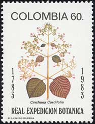 LimL1@Cinchona cordifolia