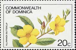 アリアケカズラ Allamanda cathartica