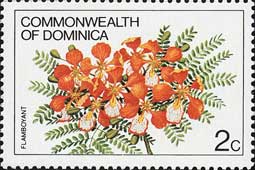 ホウオウボク Delonix regia