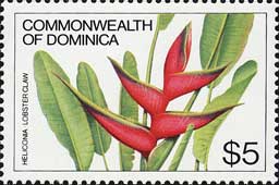 ヘリコニア・フミリス　Heliconia humilis