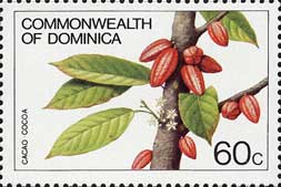 JJImL@Theobroma cacao
