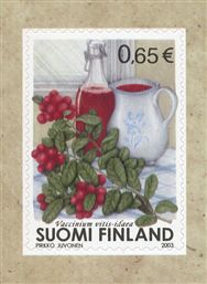 1992年　フィンランド