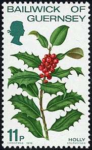 Ilex aquiflolium