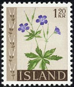 Geranium pratense