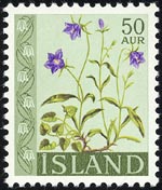 Campanula rotundifolia