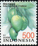 Mangifera indica