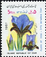 Iris paradoxa