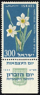 フサザキスイセン　Narcissus tazetta