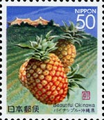 パイナップル　Ananas comosus