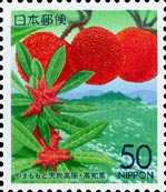 ヤマモモ Myrica rubra