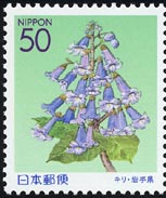 キリ Paulownia tomentosa