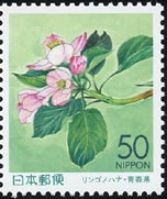 リンゴの花　Malus sp.