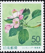 リンゴの花 Malus sp.