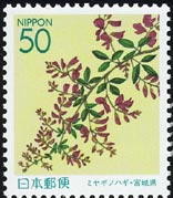 ミヤギノハギ Lespedeza thunbergii