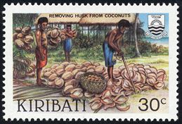 removing husk from coconuts