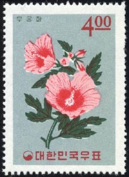 ムクゲ Hibiscus syriacus