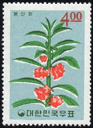 ホウセンカ Impatiens balsamina