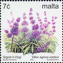 ZCEjW{N@Vitex agnus-castus