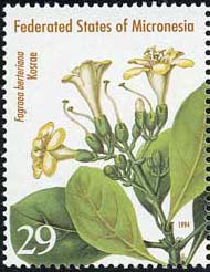ファグラエア・ベルテリアナ Fagraea berteriana