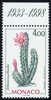 Echinocereus blanckii