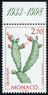 Opuntia dejecta